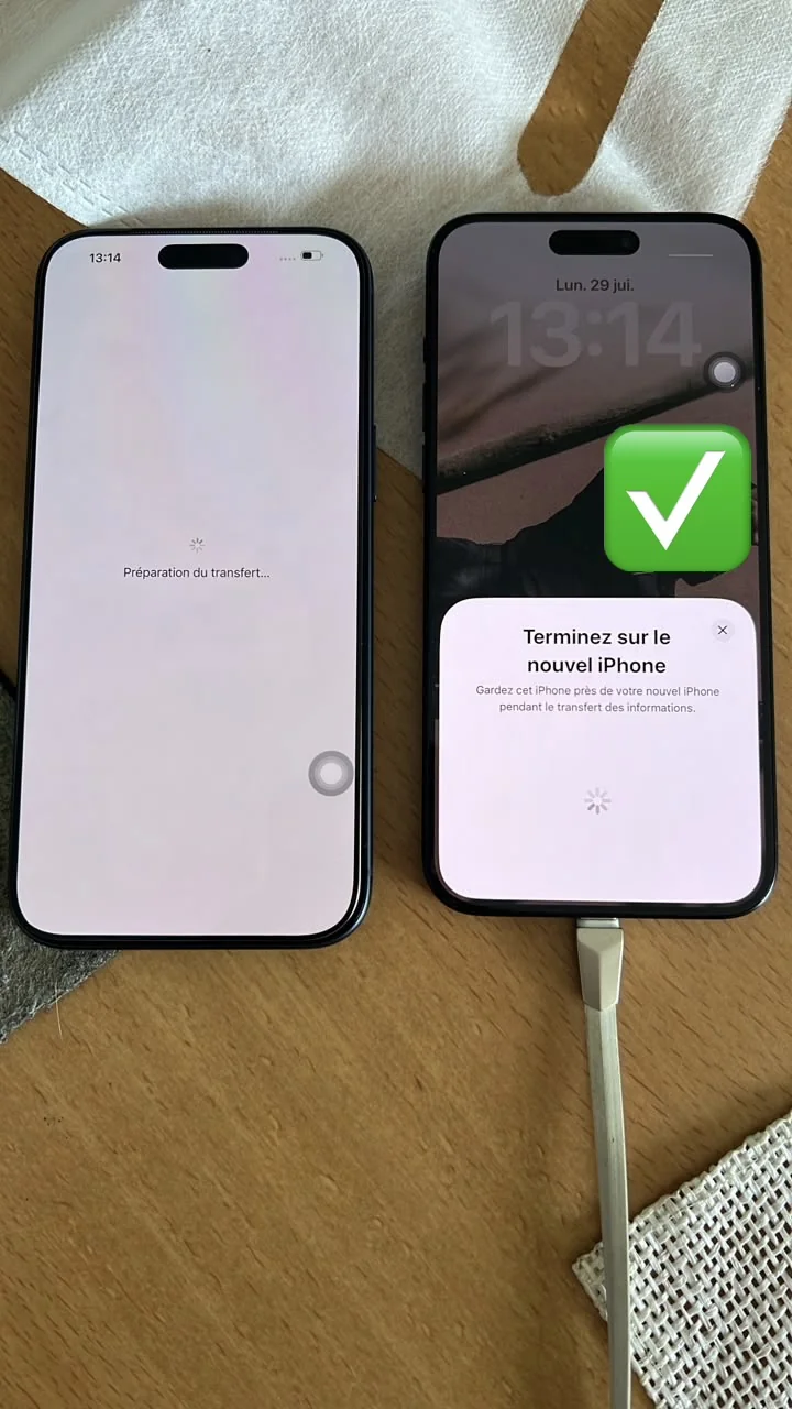 Apple device data transfer and validation